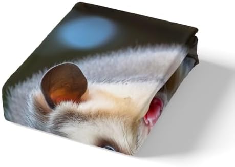 Jejeloiu Opossum Sheet Set King Size for Kids