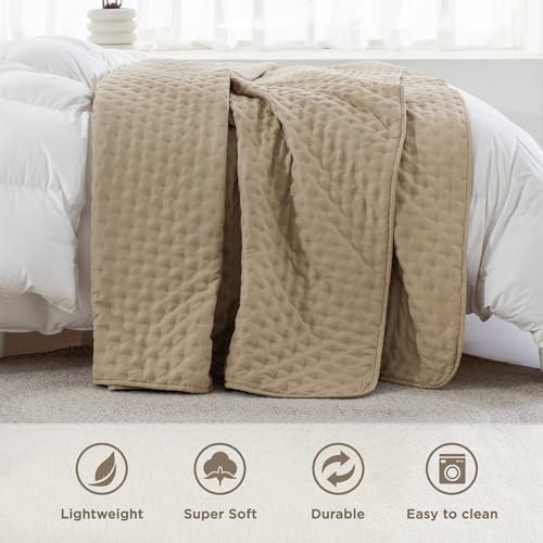Andency Beige King Quilt Set 3pcs Lightweight Coverlet