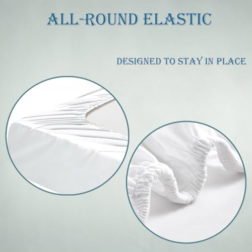 Zhrylliq Cartoon Dragon Bed Sheet Set Twin XL