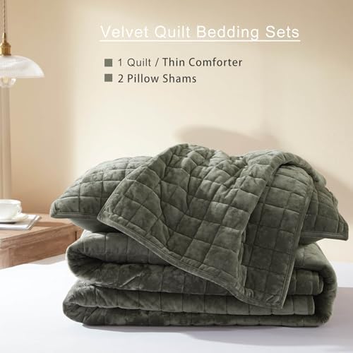 LEAONME Velvet Quilt King Size 98x106 Set