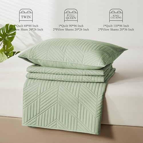 Davulos Queen Quilt Set Sage Green