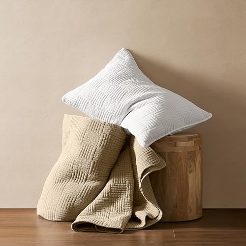 WDCOZY Beige Queen Quilt Set with Down-Alternative Filling