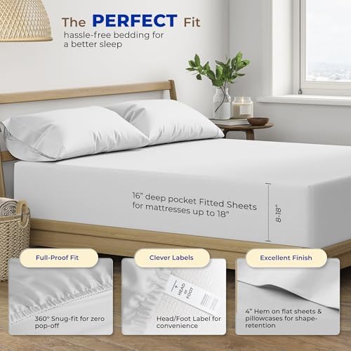 THREAD SPREAD 600 TC Egyptian Cotton Twin XL Sheet Set 3 PC