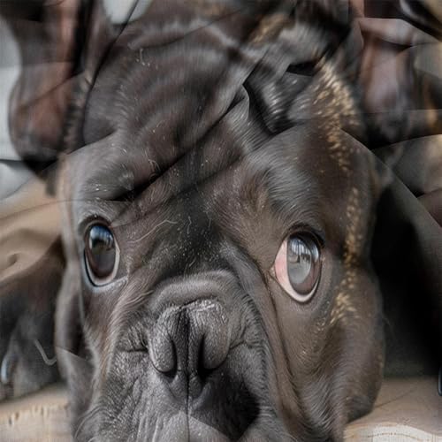 King Animal French Bulldog Fitted Sheet Set 4 Piece Extra Soft Microfiber