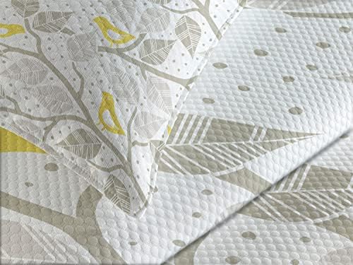 Lunarable Grey Bedspread Set Queen Size 3 Piece