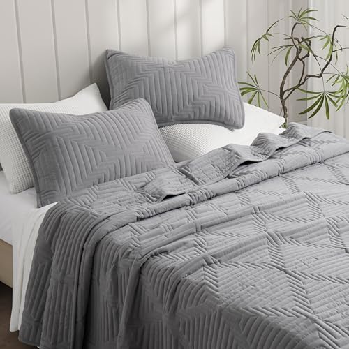 Oli Anderson Grey Queen Quilt Set with Pillow Shams