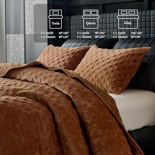 WARMDERN Luxury Velvet Quilt Queen Size Set