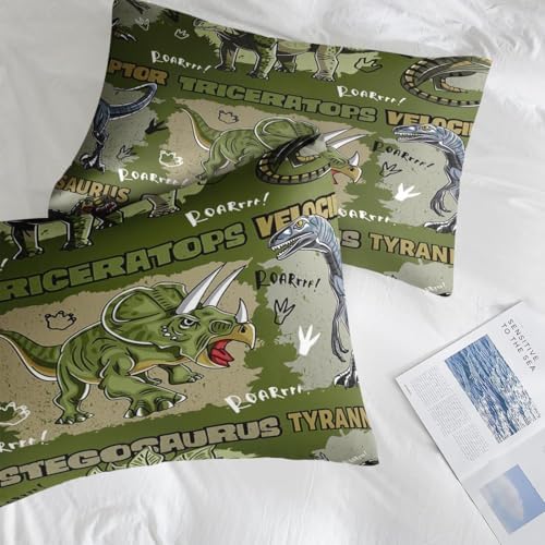 Pamnest Comforter Set Queen Size Dinosaur Cartoon