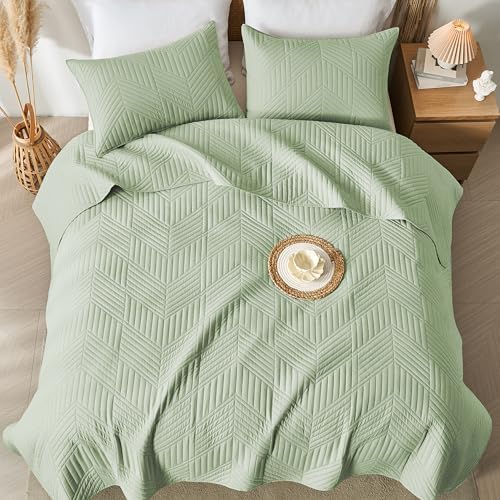 Davulos Queen Quilt Set Sage Green
