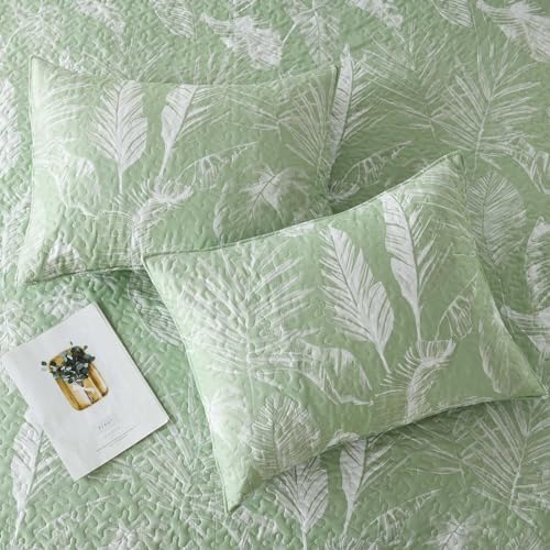 Boryard 3-Piece Queen Quilt Set with Pillow Shams