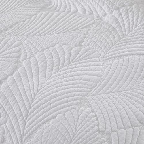 Brandream Cotton Luxury Queen Quilt Set 3-Piece