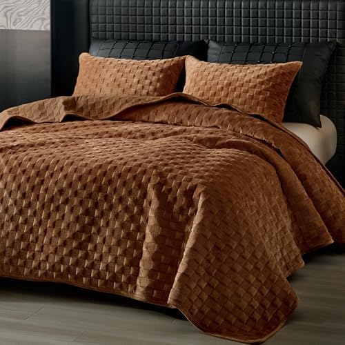 WARMDERN Luxury Velvet Quilt Queen Size Set