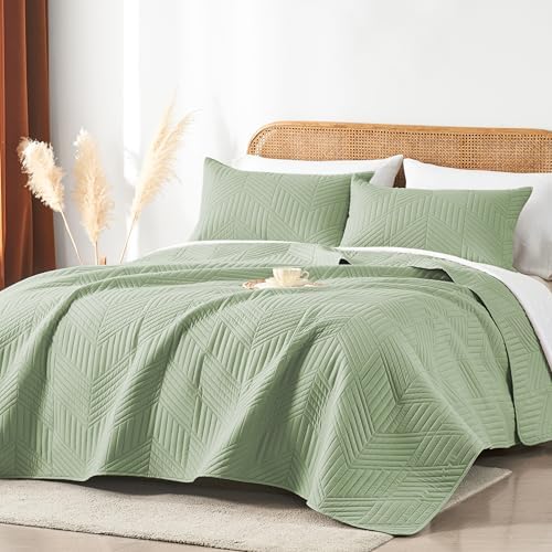 Davulos Queen Quilt Set Sage Green