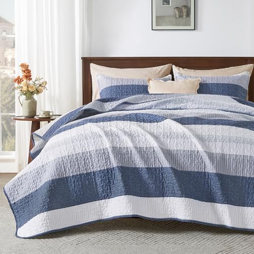 Andency Mineral Blue Striped Quilt Set with Pillowcases