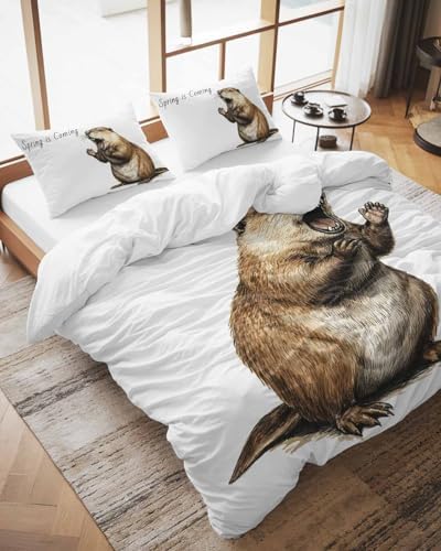 Happy Groundhog Day Duvet Cover Queen Set 3 Piece