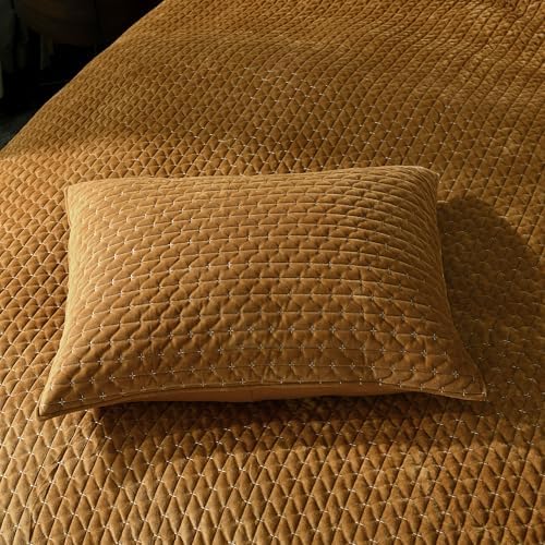 Grassix Velvet Quilt Set Queen Size with 2 Shams