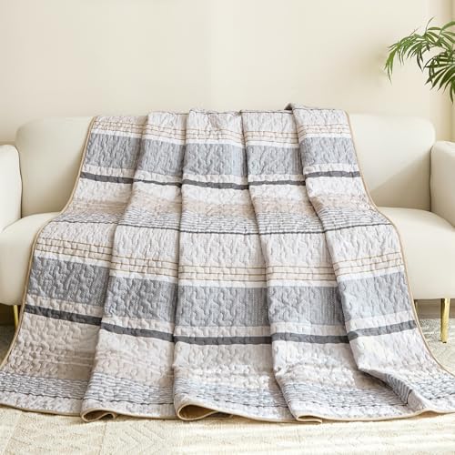 Dintszyayue Khaki Grey Queen Quilt Set 3 Piece