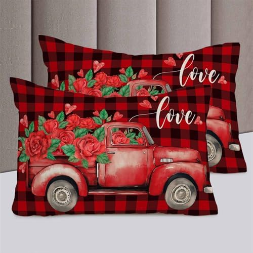 ZOE GARDEN Valentines Queen Duvet Set 3 Piece
