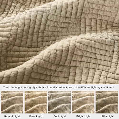 WDCOZY Beige Queen Quilt Set with Down-Alternative Filling