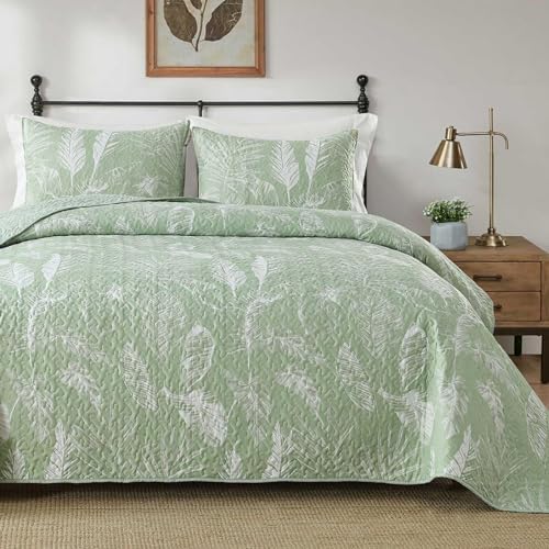 Boryard 3-Piece Queen Quilt Set with Pillow Shams