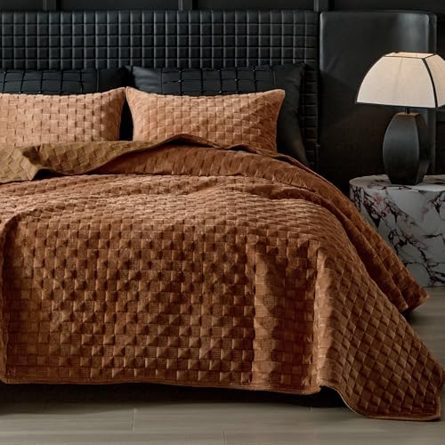 WARMDERN Luxury Velvet Quilt Queen Size Set