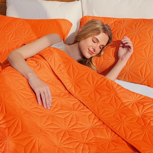 Whale Flotilla Queen Quilt Set 3-Piece Soft Orange Geometric Star Pattern Bedding
