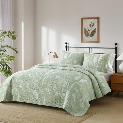 Boryard 3-Piece Queen Quilt Set with Pillow Shams