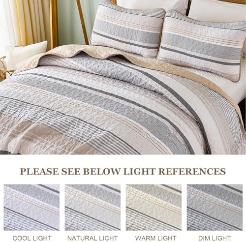 Dintszyayue Khaki Grey Queen Quilt Set 3 Piece
