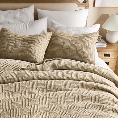 WDCOZY Beige Queen Quilt Set with Down-Alternative Filling