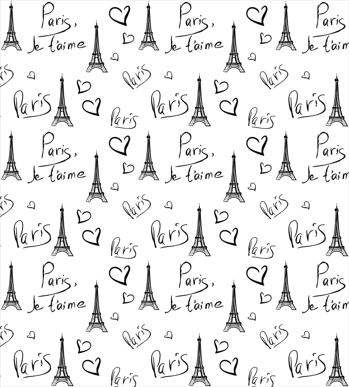 Ambesonne Paris Duvet Cover Set Twin Size Black White